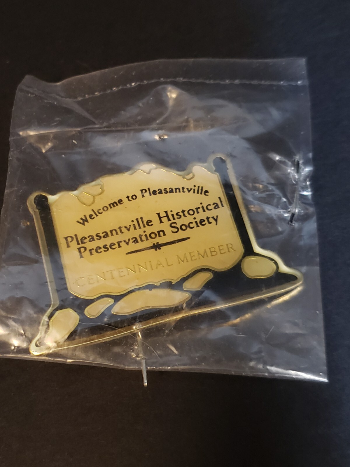 Pleasantville Christmas Village Centennial Member Pin Historical Society