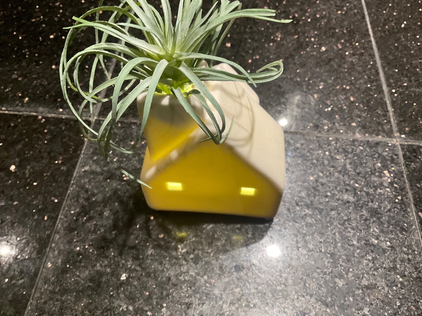 Live Trends Winter Village House LightUp Switch 4.5” Cute Faux Air Plant