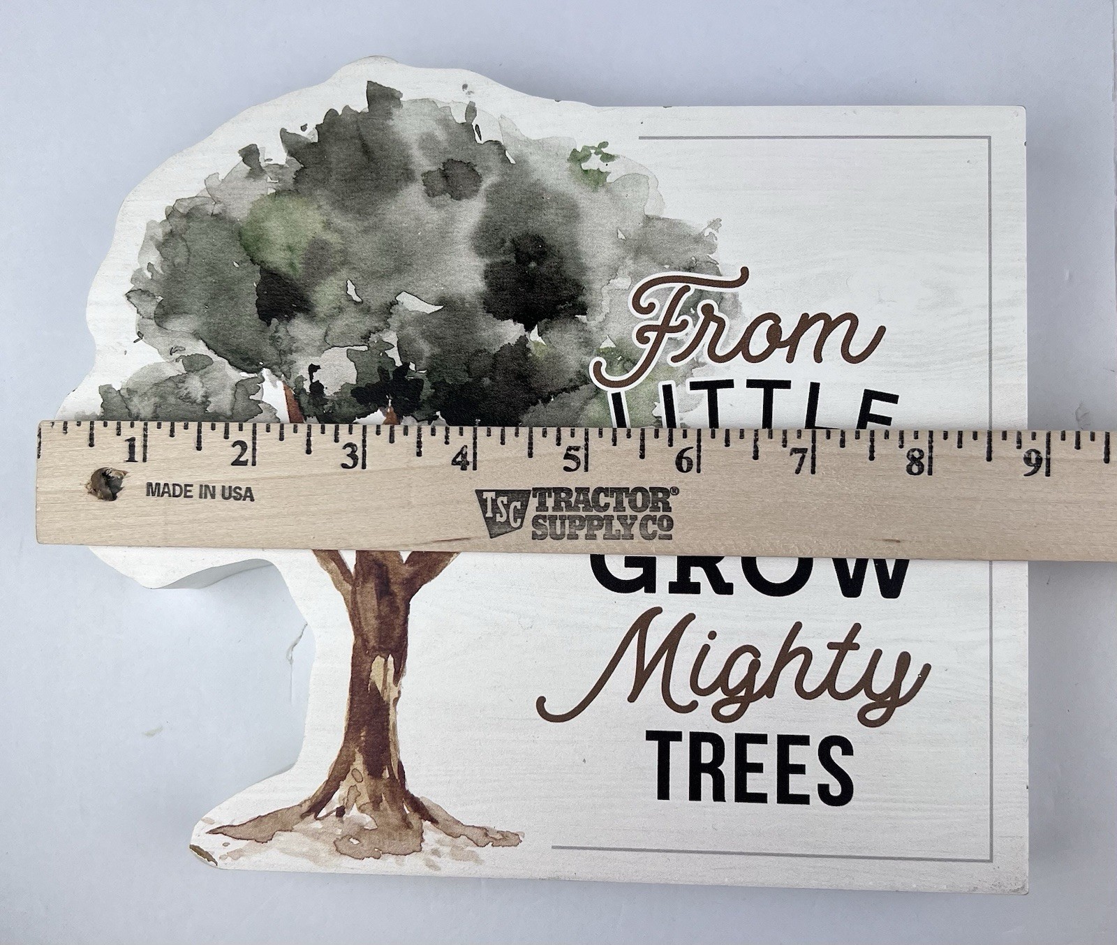 Shelf Sitter “From Little Seeds Grow Mighty Trees” Hope Faith Jesus Mustard Seed