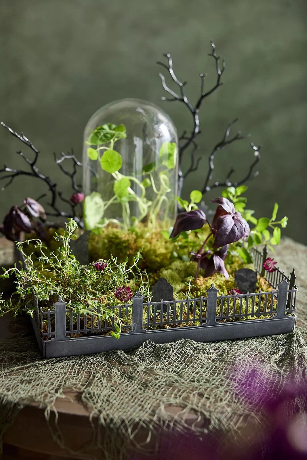 Anthropologie Concordville Spooky Village Fenced Tray NIB Halloween Witchy