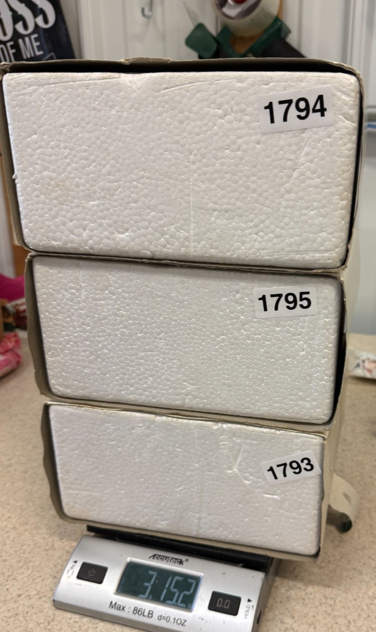 Department 56 Village Evergreen Trees Set of 3 Cold Cast Porcelain #5205-1