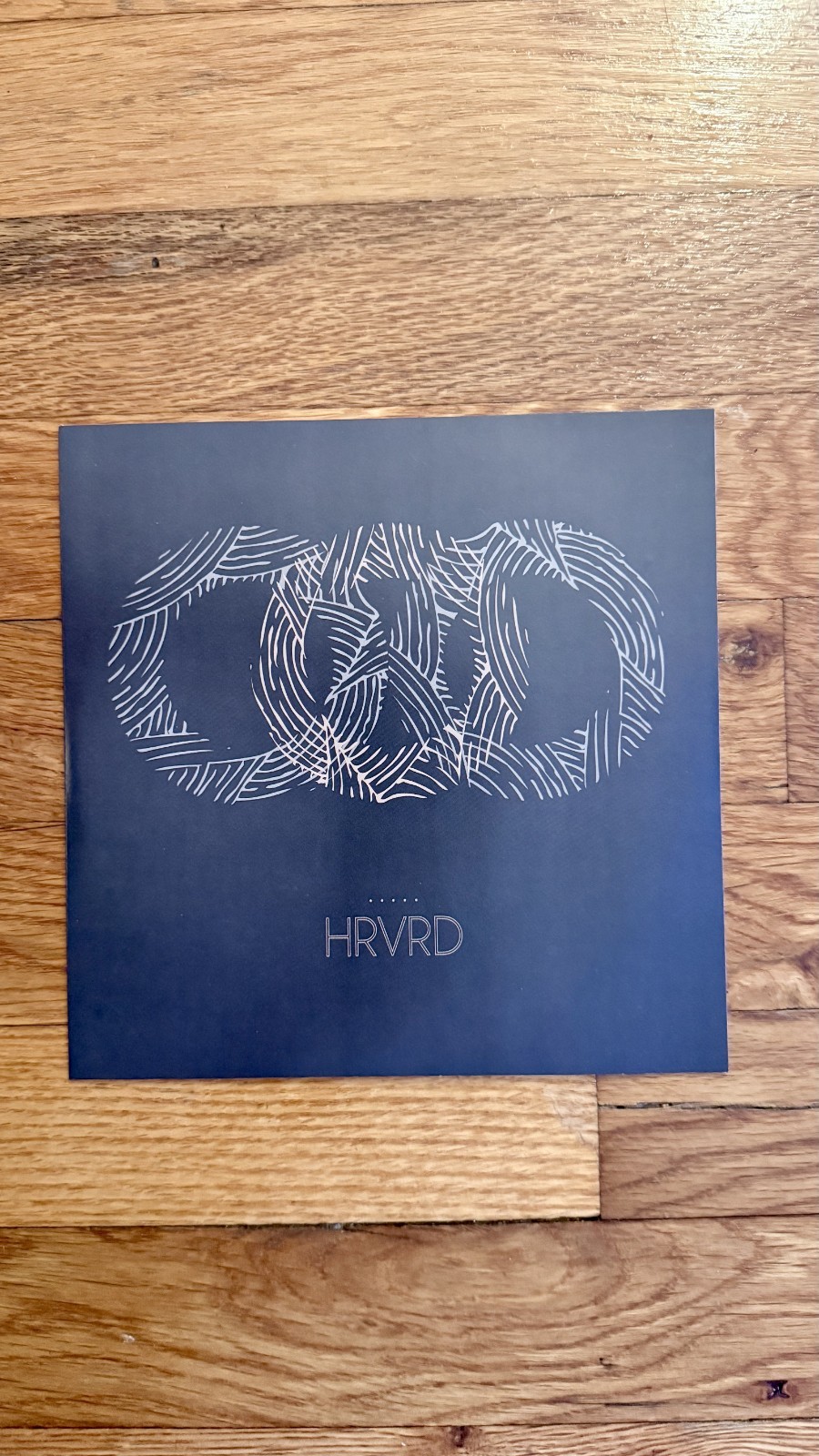 Hrvrd – Cardboard Houses Vinyl, 7″, Cream RARE