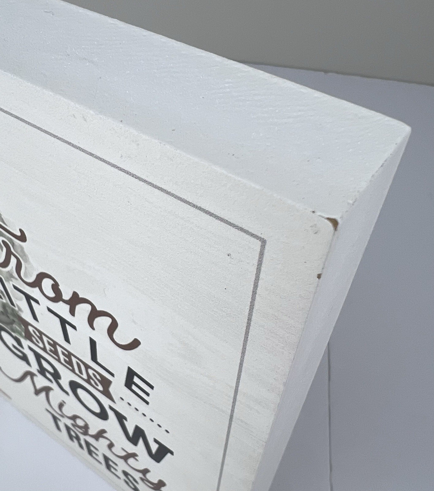 Shelf Sitter “From Little Seeds Grow Mighty Trees” Hope Faith Jesus Mustard Seed
