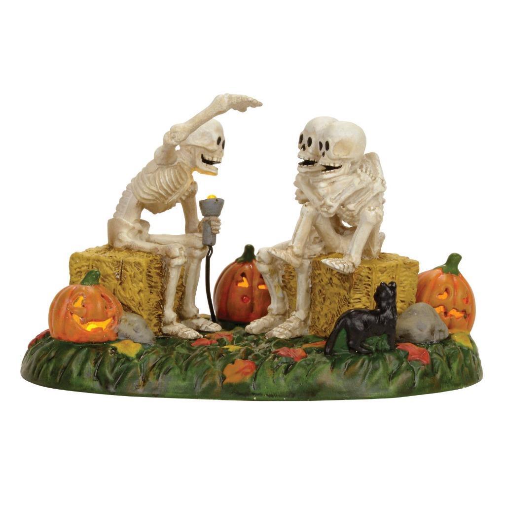 Dept 56 SCARY SKELETON STORIES #4056710 NRFB Lit Halloween Snow Village Access *