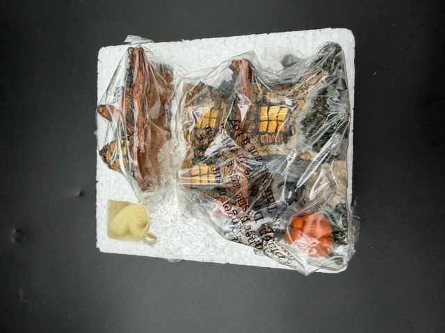 2000 Boyds Town ~ Punky Boobear’s Haunted Halloween House, Style#19012