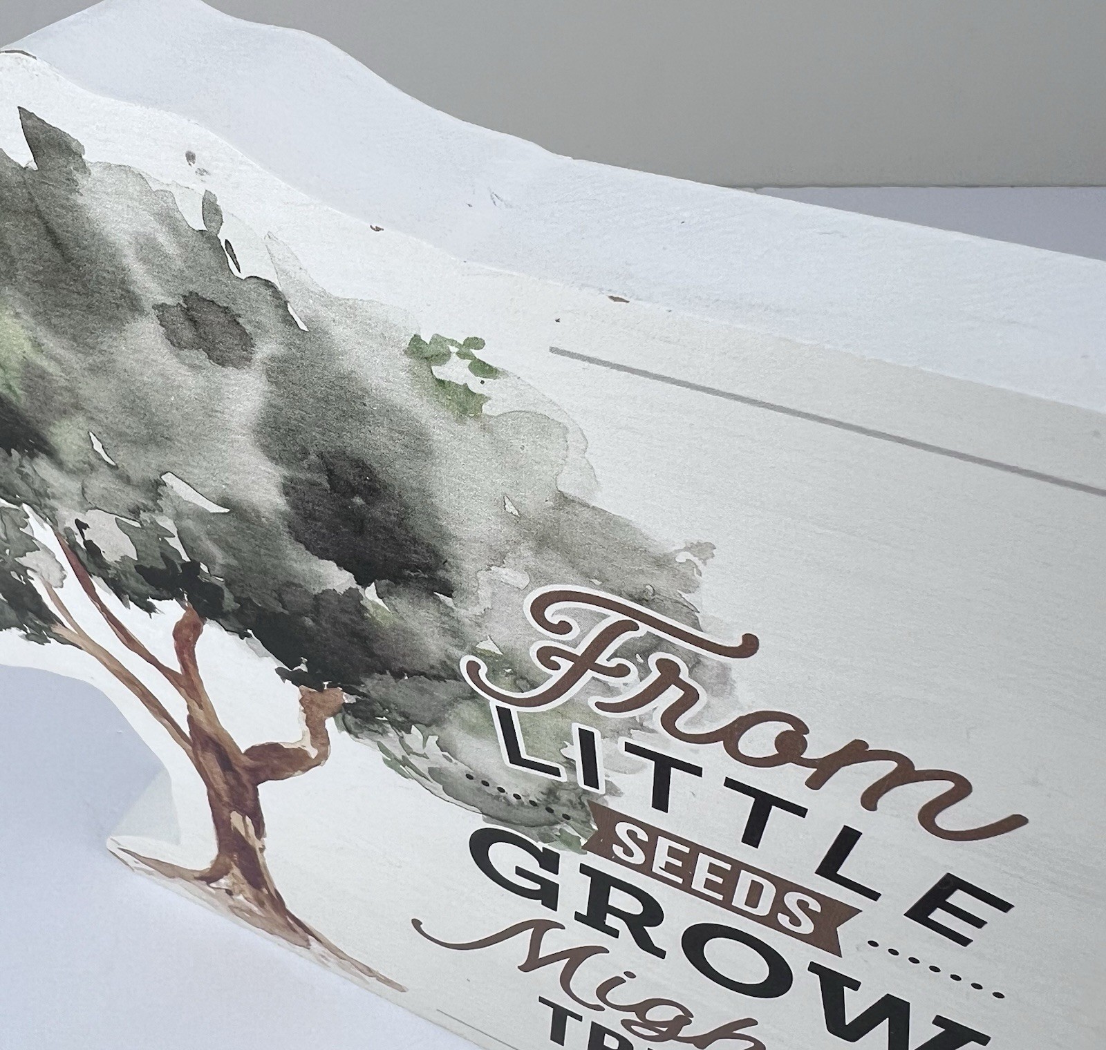 Shelf Sitter “From Little Seeds Grow Mighty Trees” Hope Faith Jesus Mustard Seed