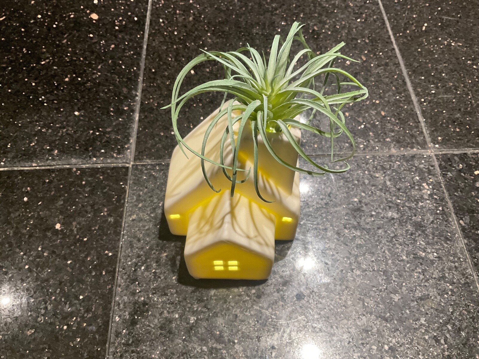 Live Trends Winter Village House LightUp Switch 4.5” Cute Faux Air Plant