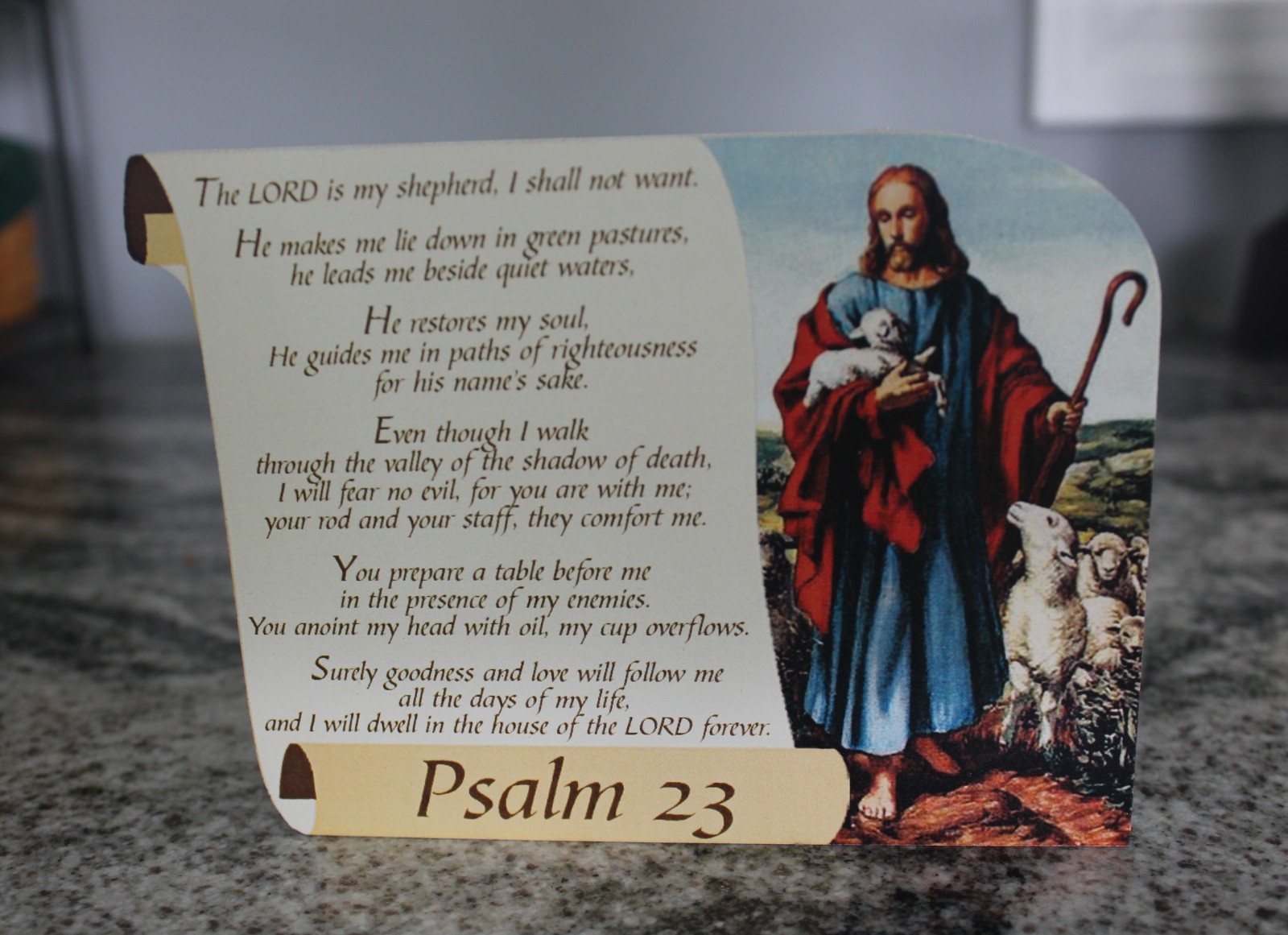 Cat’s Meow Psalm 23 A Psalm of David Bible Insights 2007