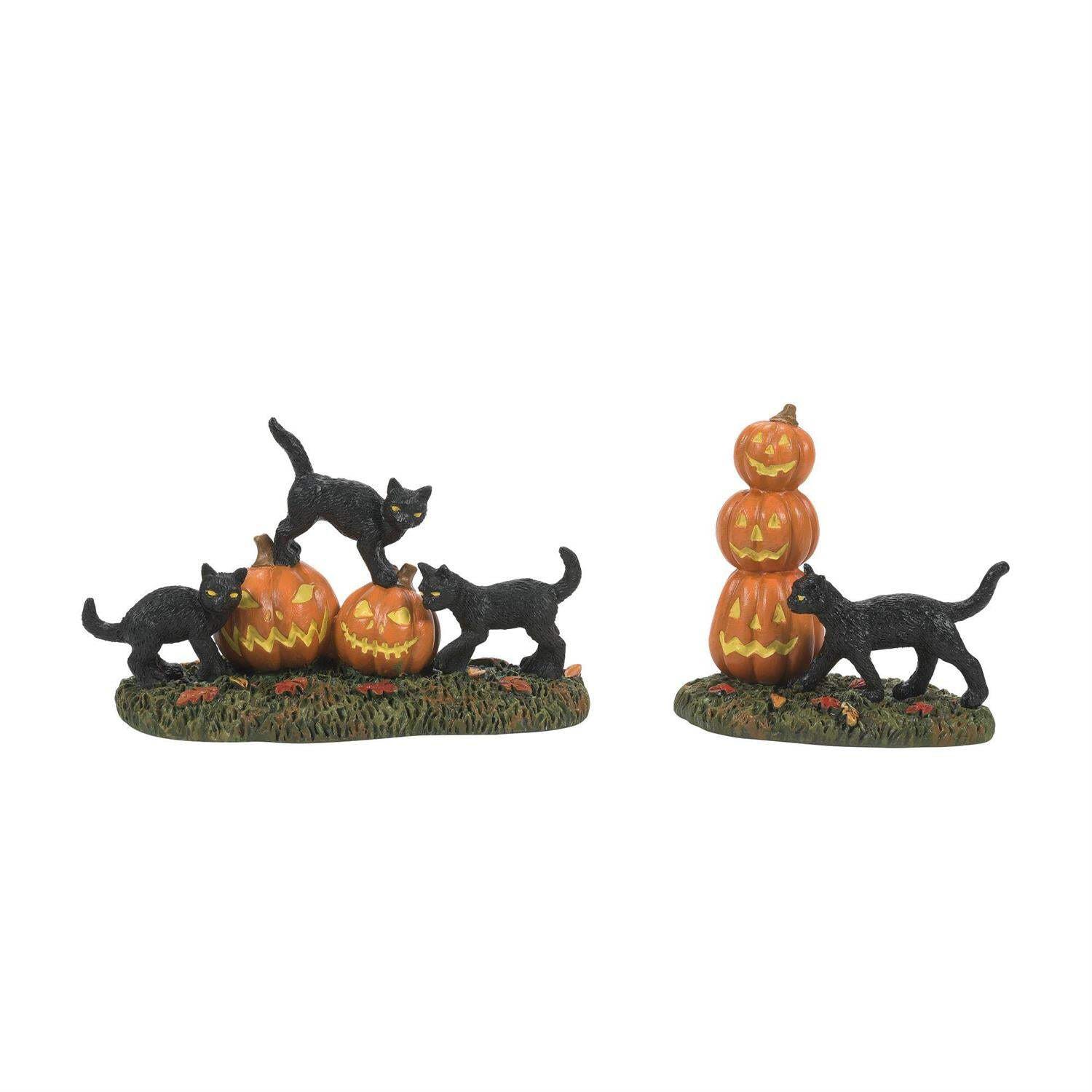 Department 56 Scary Cats Pumpkins ST/2 6012285 Dept 2023 Halloween Snow Village