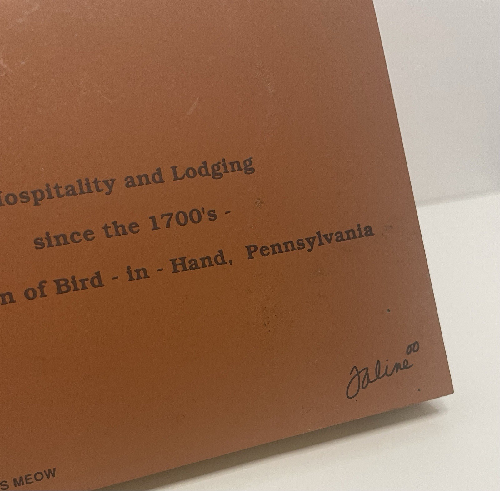 VTG The Cat’s Meow Hospitality And Lodging Village Inn Bird-in-Hand 1992 PA Wood